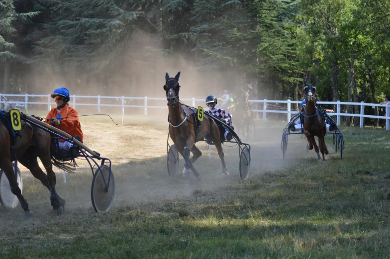 three race horses walking away from the starting line