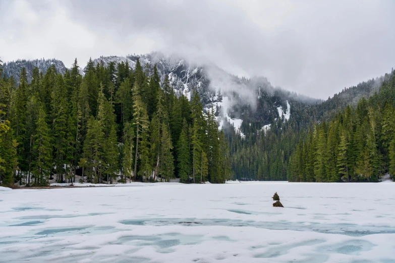 trees and water covered in snow near a mountain