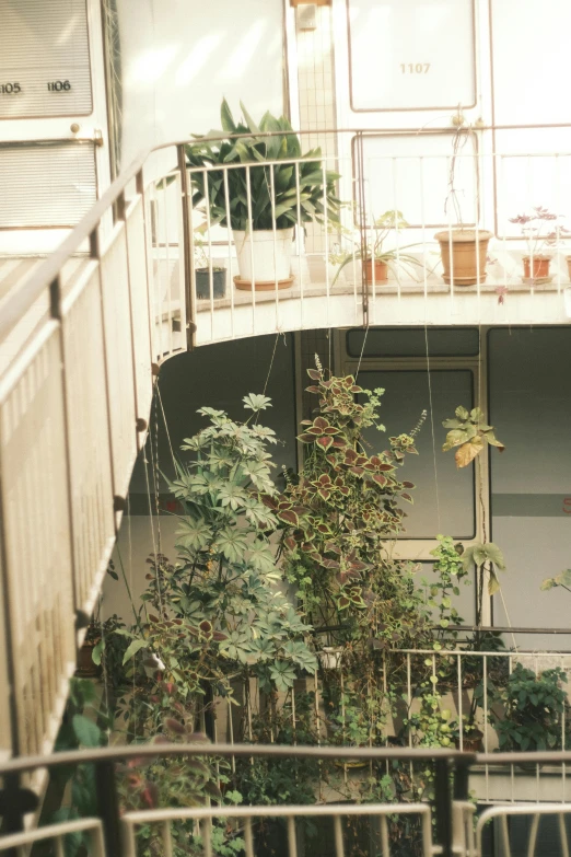 a balcony with metal railings on it that has various plants growing in pots