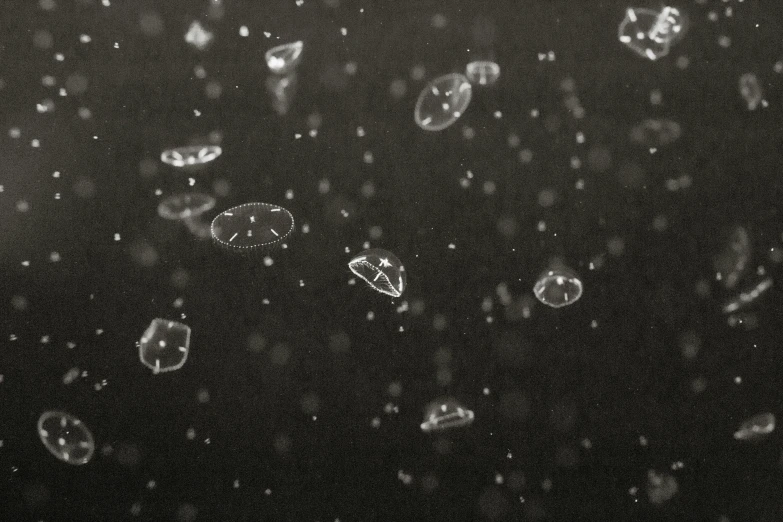 bubbles of various shapes in the dark