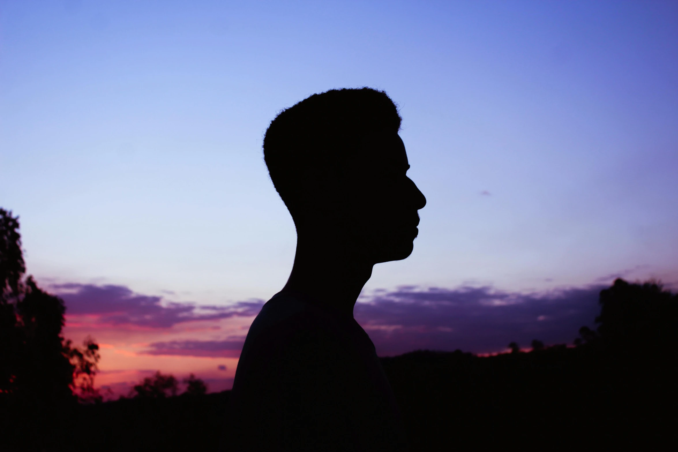 silhouette of a man watching the sky and trees