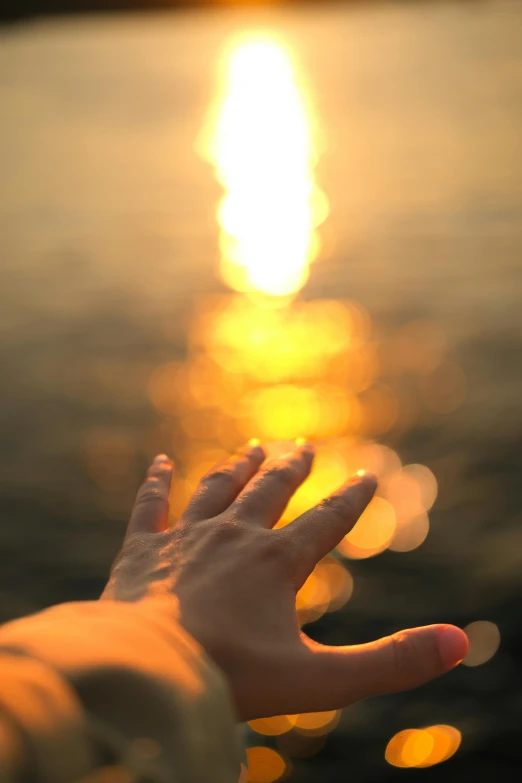 hand with ring showing from water during sunset