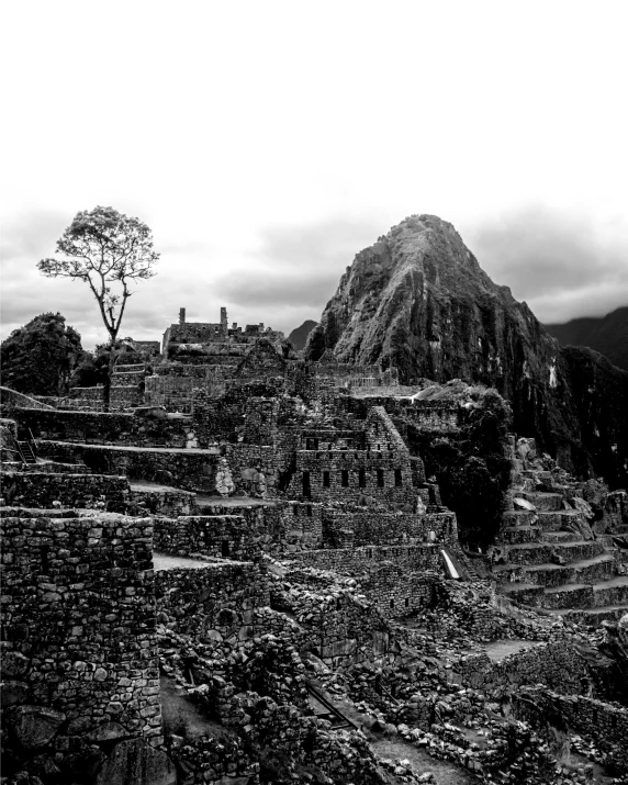 black and white po of ruins with trees