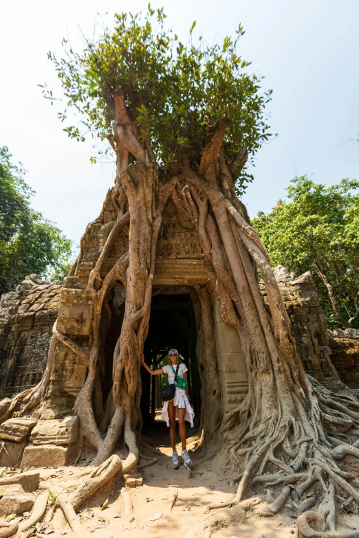 a couple of people standing in a tree trunk tunnel