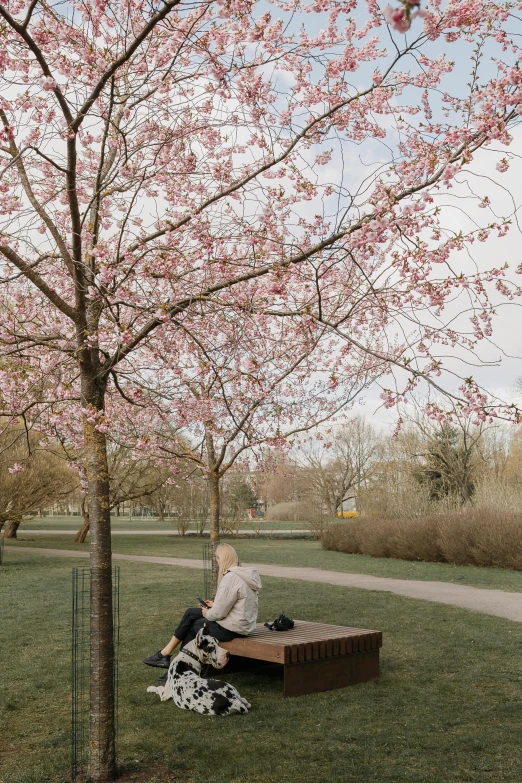 a woman sitting on top of a wooden bench next to a tree