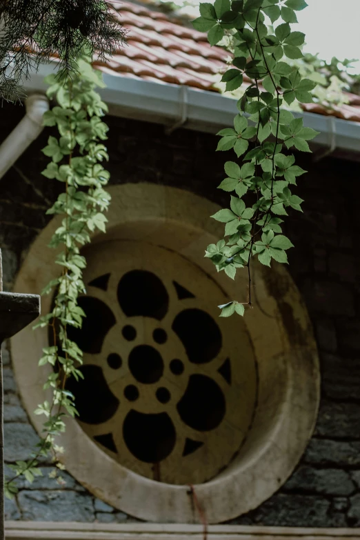 the outside of a building with ivy hanging from it's ceiling