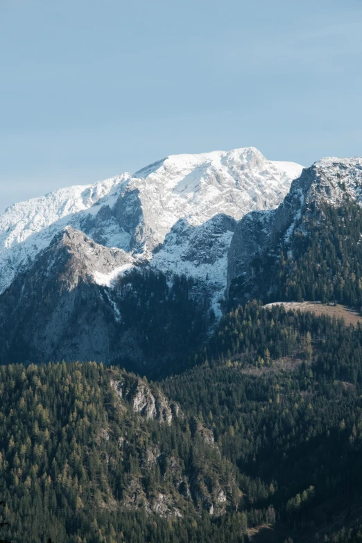 the snowy mountain tops are all covered in green