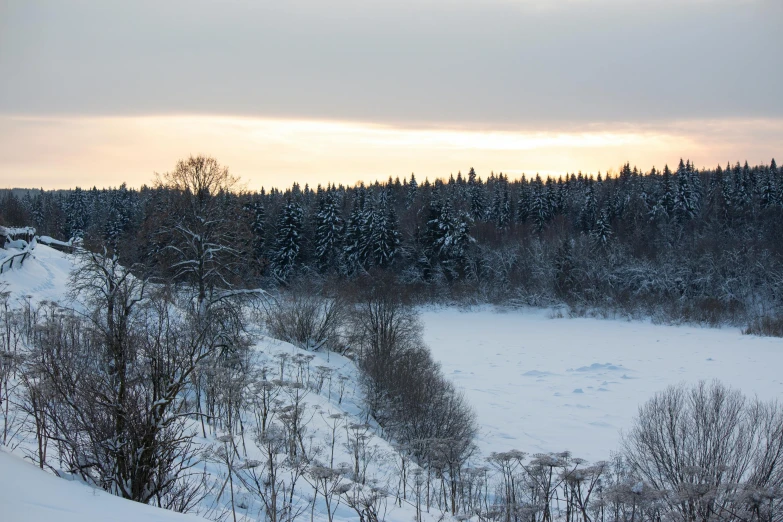 a snow covered field surrounded by wooded areas