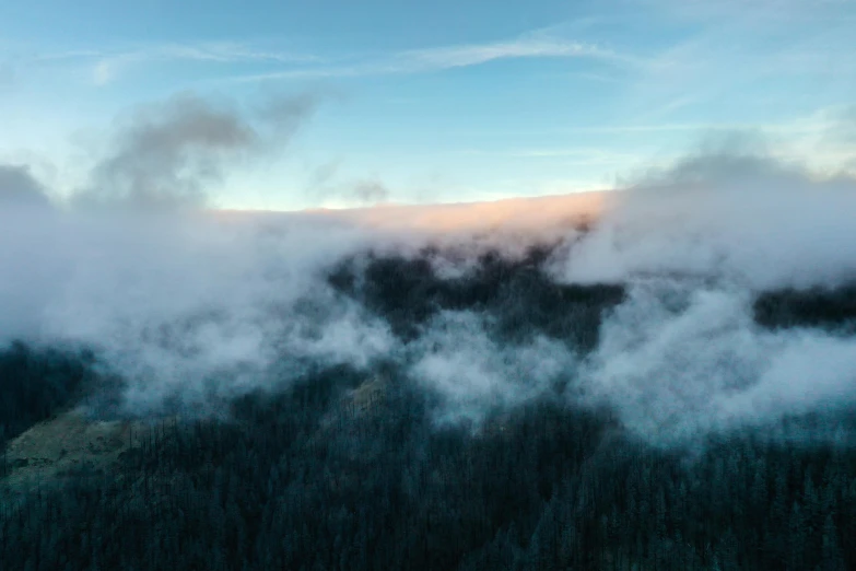 an aerial view of a forest covered in clouds