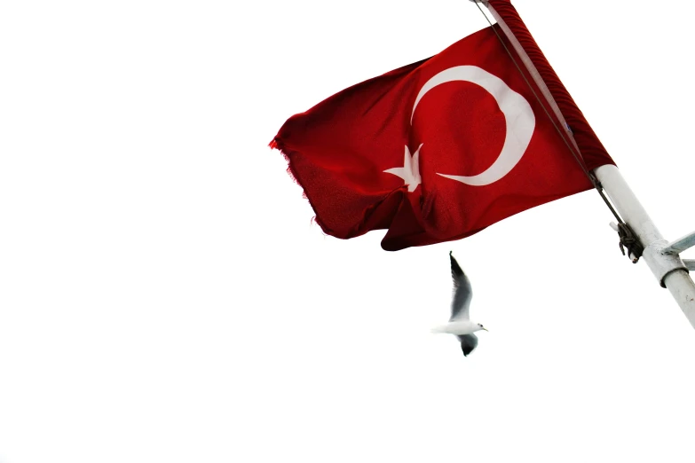 the flag of turkey is waving in front of two seagulls
