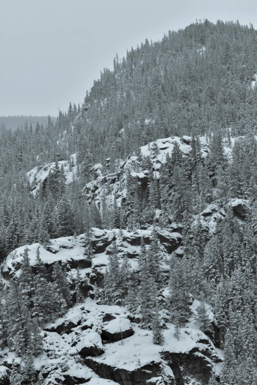 a mountain covered in snow covered with lots of trees