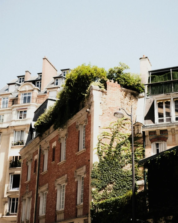 the top of the building has a lot of green plants