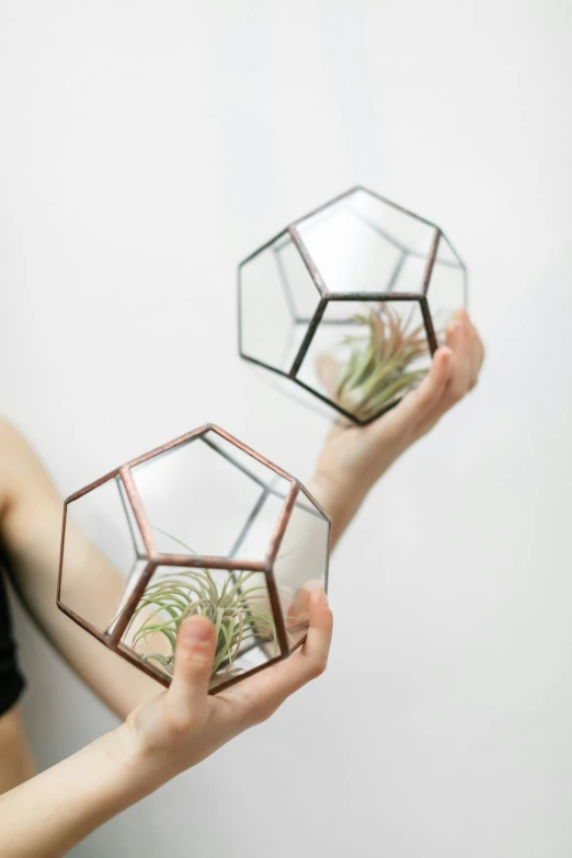 woman holding plants inside small mirrors with plants