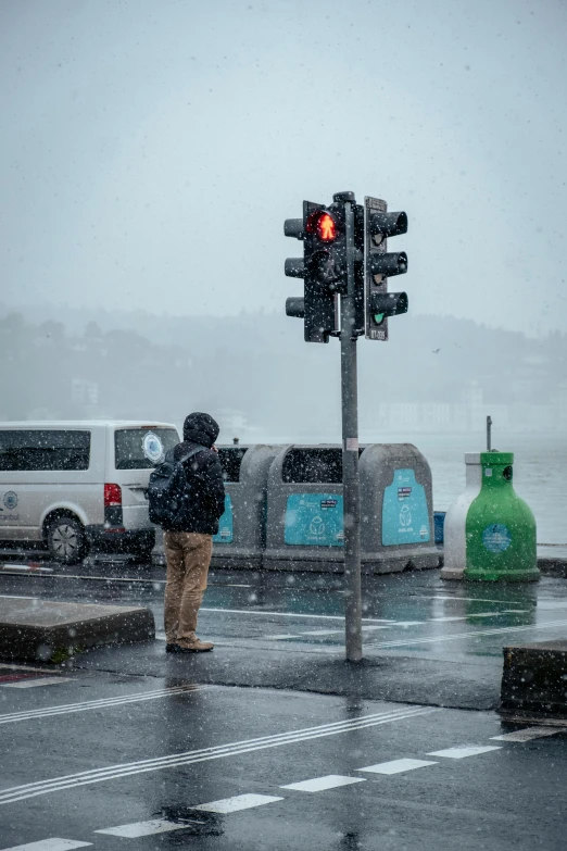 a person standing under an traffic light next to the ocean