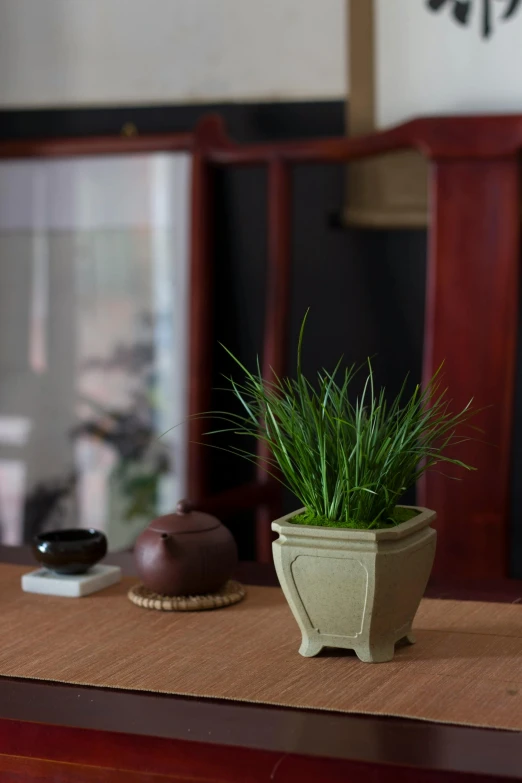 the potted plant is sitting on the table