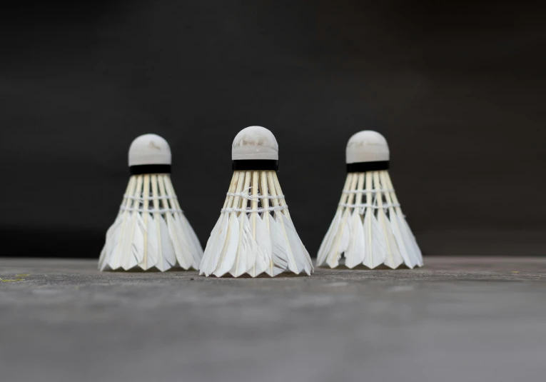 four white tassels sitting in a row on the ground