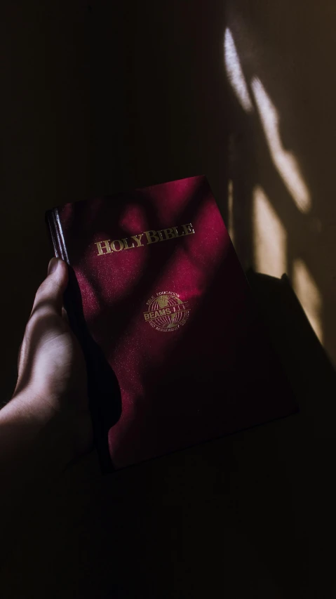 a person holding a red book in the dark