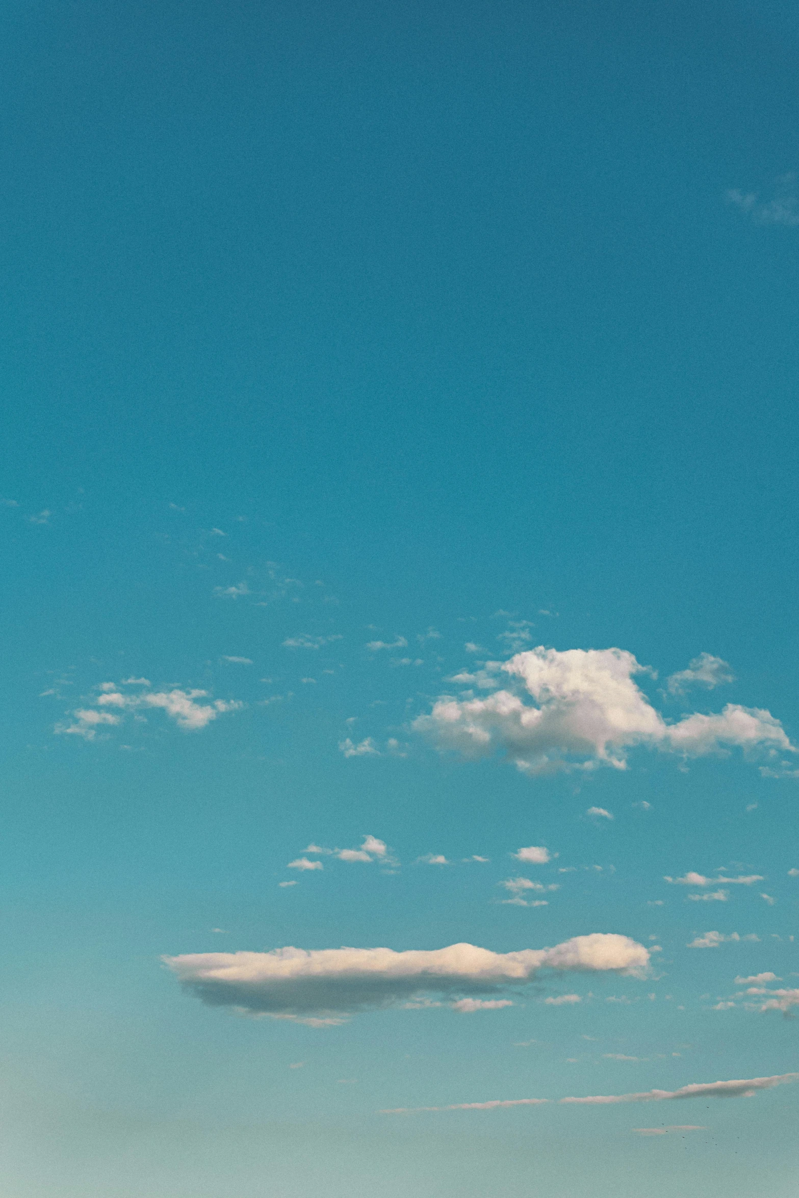 several people are on the beach and one is flying a kite