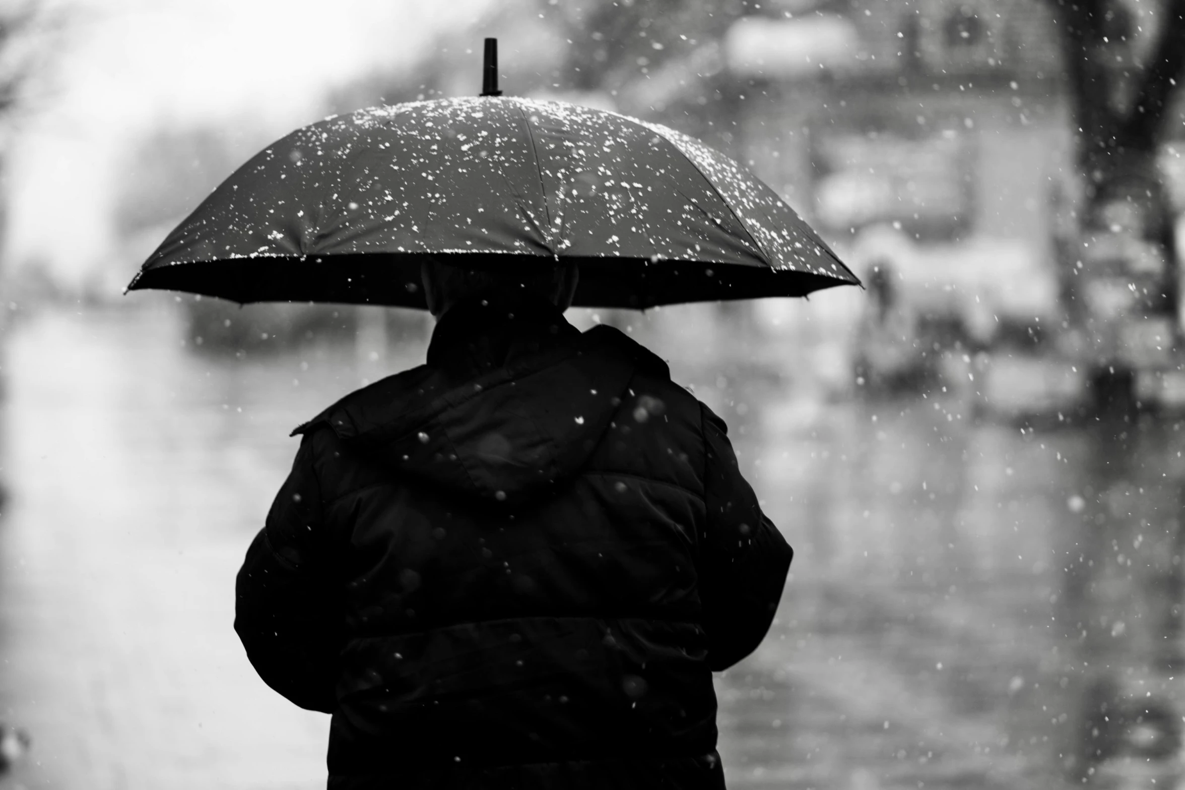 a person with an umbrella stands on the sidewalk