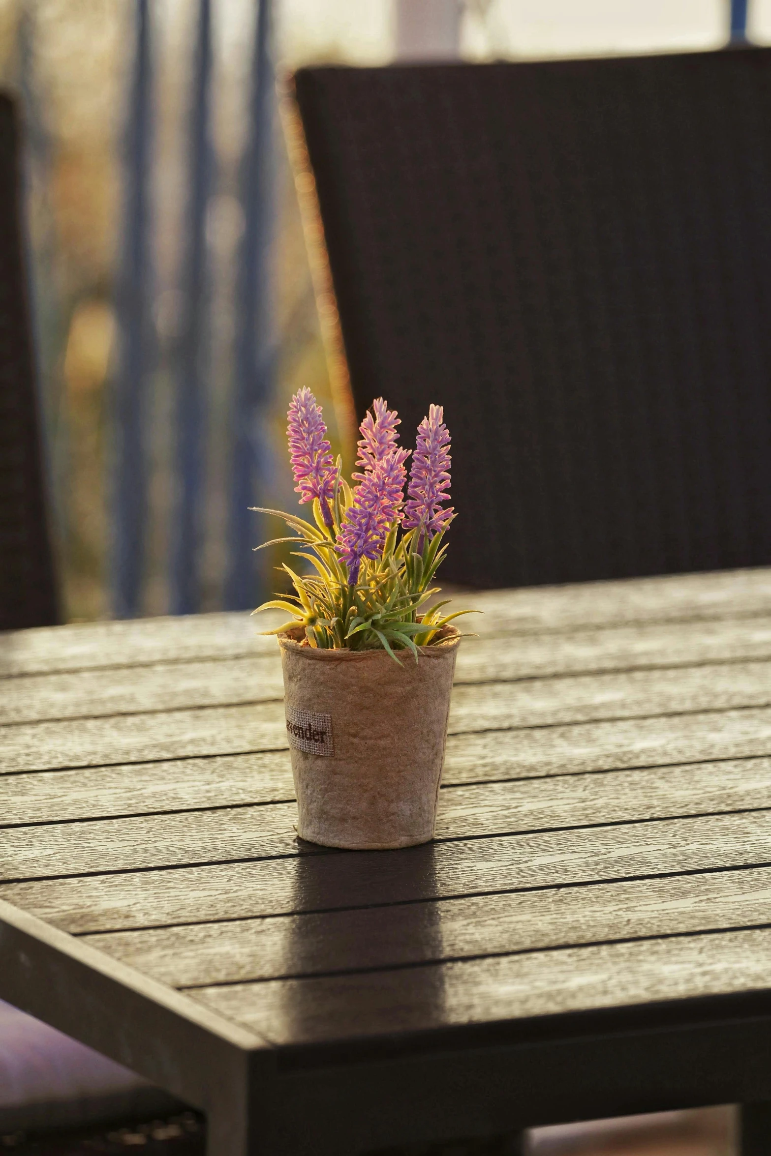 purple flowers are sitting in a pot on the table