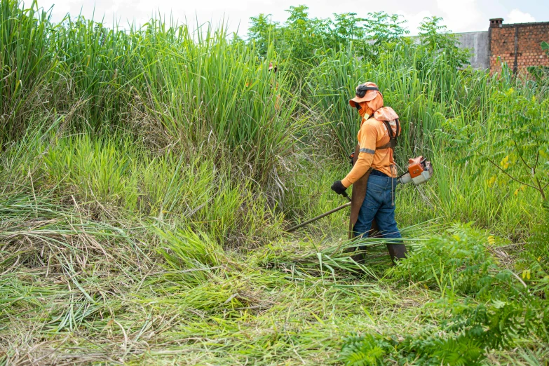 a man is walking through tall grass with a hose