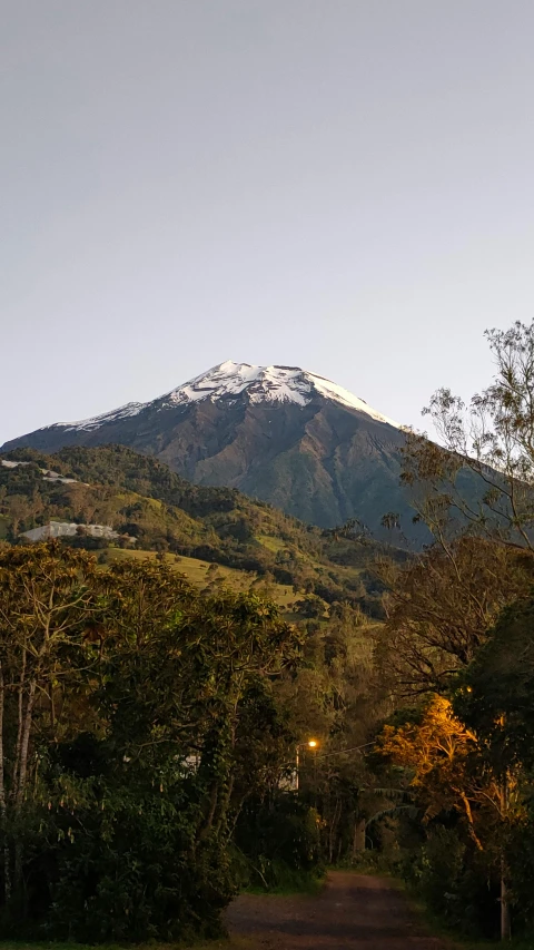 a road near a mountain with snow on top