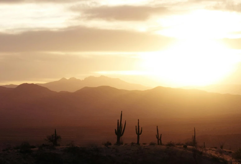 the sun sets on a mountain range with saguados