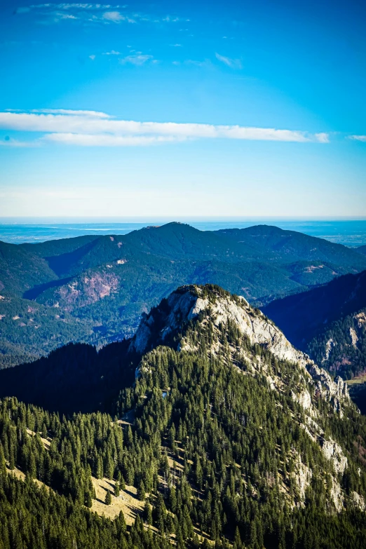 the view from a large hill with many pine trees