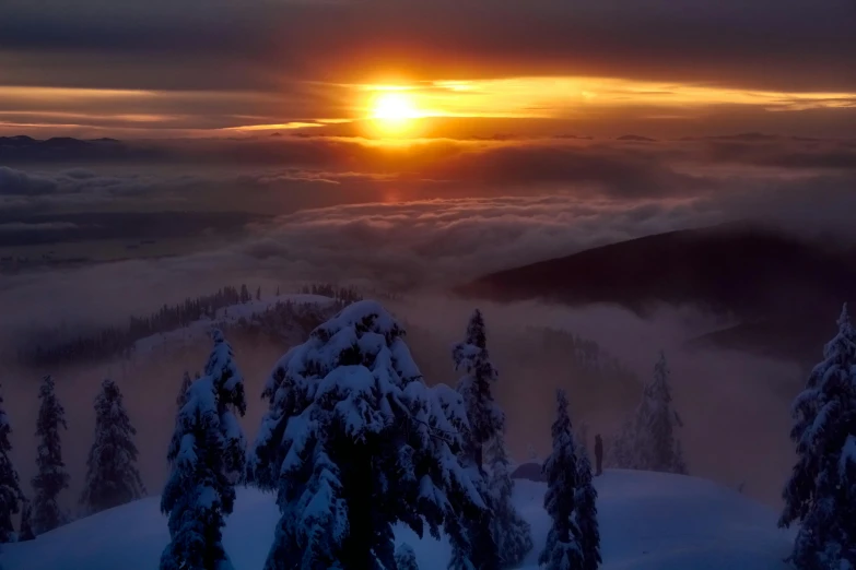 a sunset in the distance over snowy trees