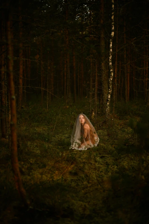 a woman in a white dress sits in the woods wearing a veil