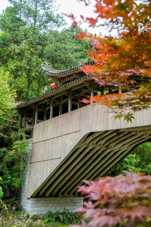 a bridge over water surrounded by a forest