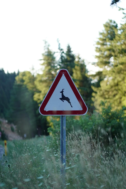 a road sign showing that deer is crossing