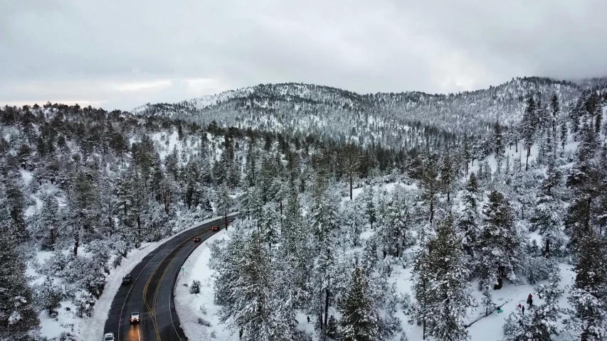 road through pine trees near mountain under cloudy sky