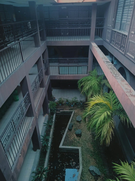 this courtyard is clean and has plants