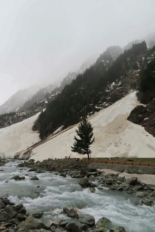 trees are in the distance while a mountain stream flows by