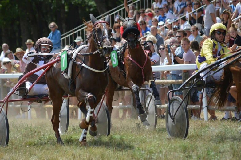 two horses pulling a cart full of people