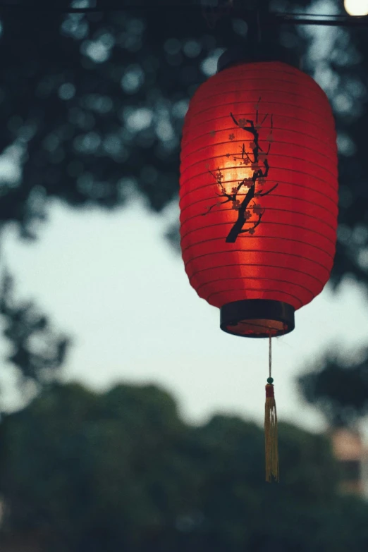 a lit hanging lantern that has a lizard design