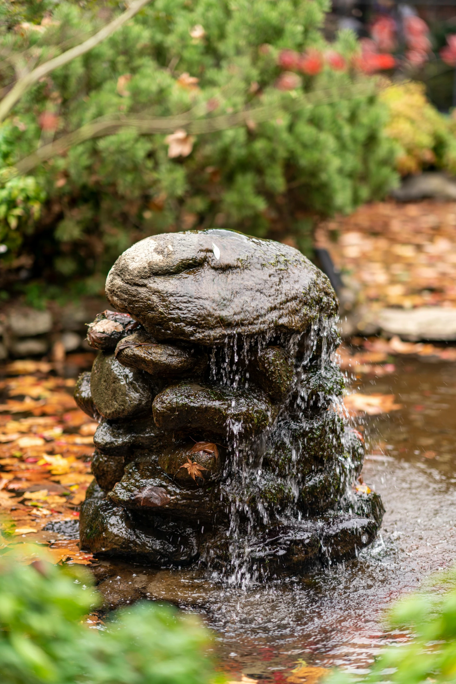 two rocks in the water with a bird in it