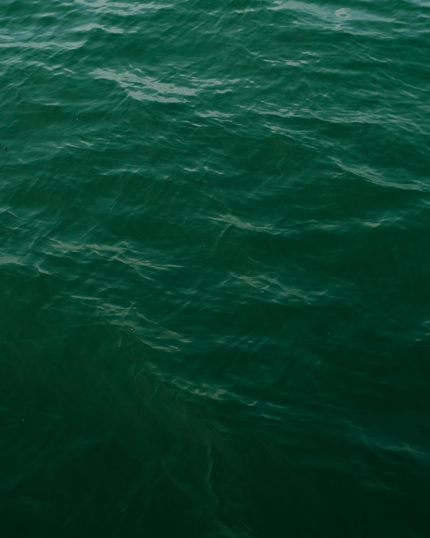 a bird flying over the ocean while holding its wings up