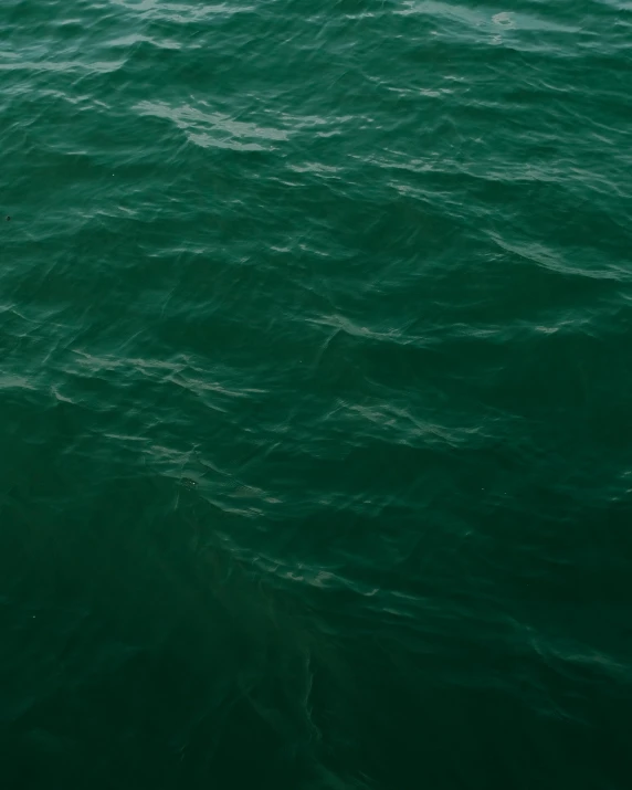 a bird flying over the ocean while holding its wings up