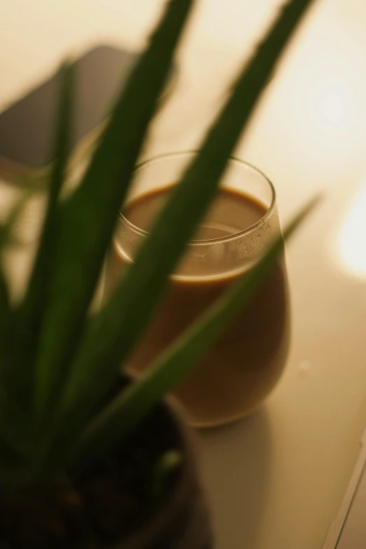 a cup sitting on a table with plants inside