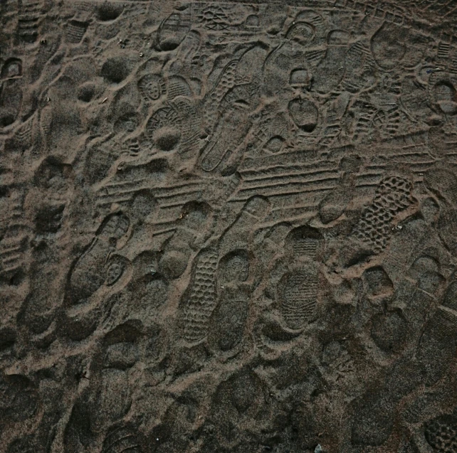 a sandy beach with multiple footprints and small footprints on it