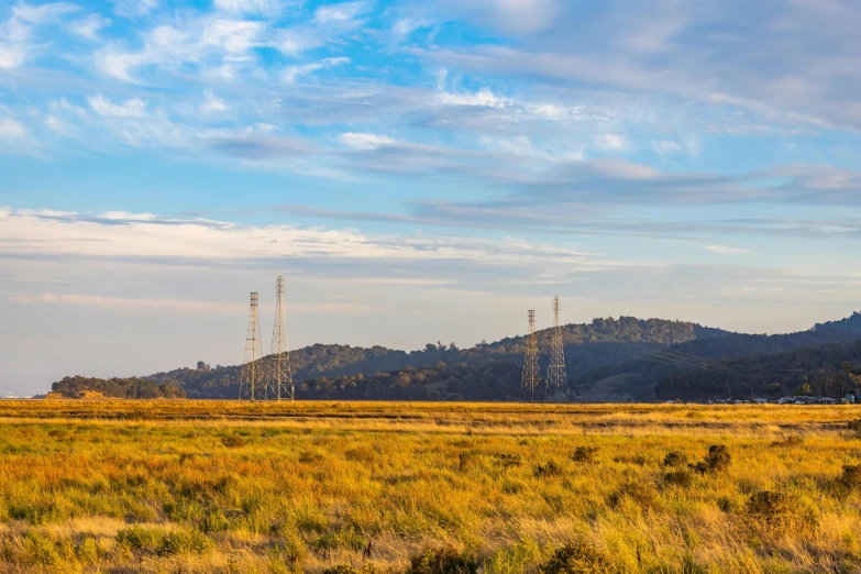 tall trees on top of hill behind dry grass