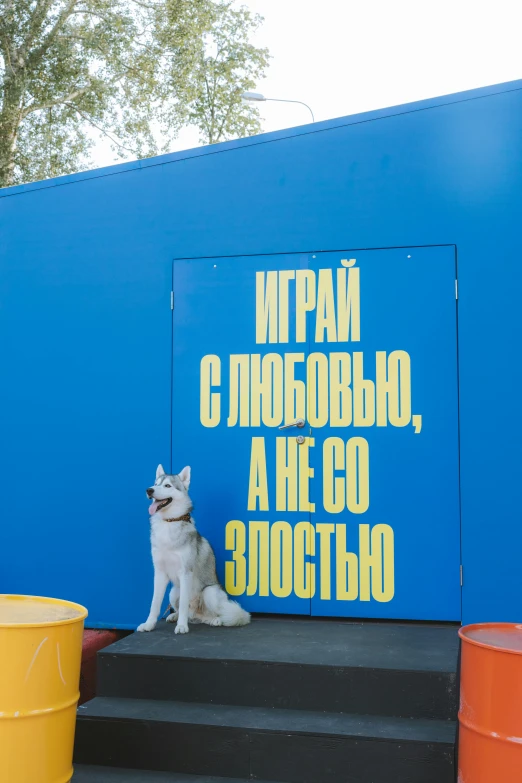 a white dog is standing outside of an enclosure