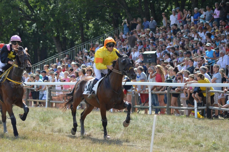 two horses racing and a crowd of people watching