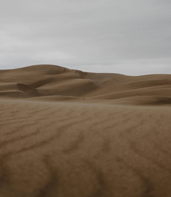 a lone camel in the middle of desert like terrain