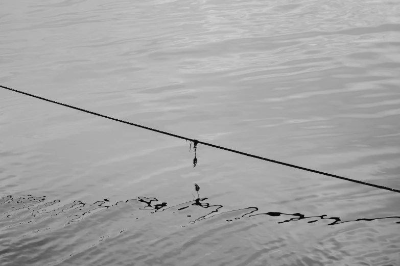 a close up of an old telephone pole sticking out of water