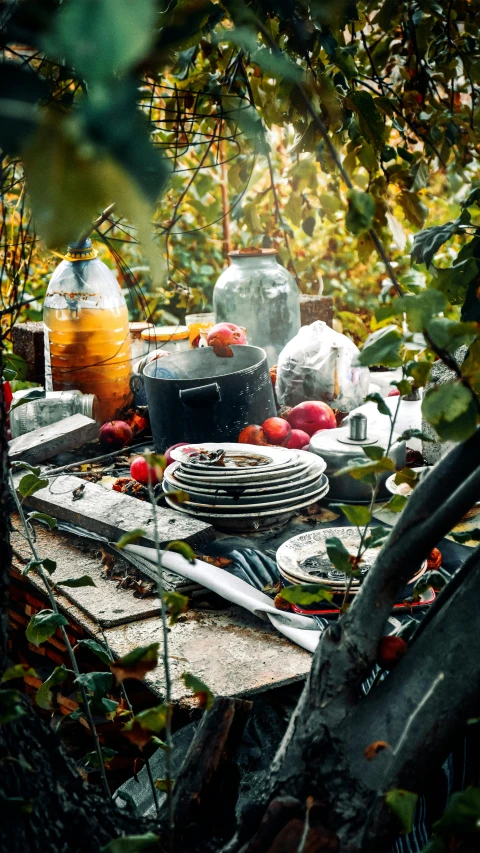 a table that has plates and knives on it