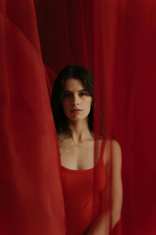 a woman with a red dress behind sheer red cloth