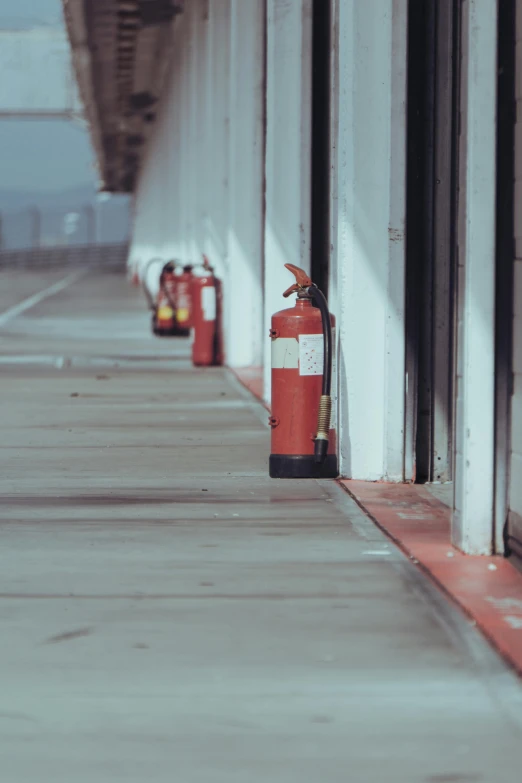 a couple of fire hydrants on a side walk